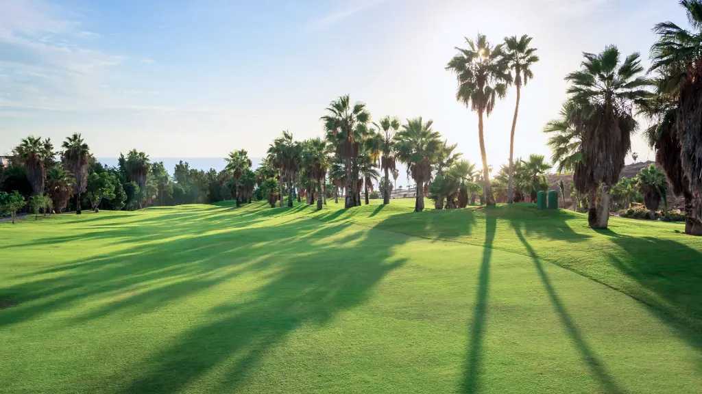 golf-costa-Adeje-20.webp