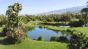 golf-las-americas-26.webp