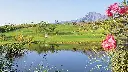 golf-las-americas-21.webp
