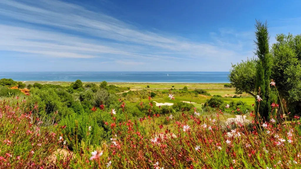 Palmares Golf 3.webp