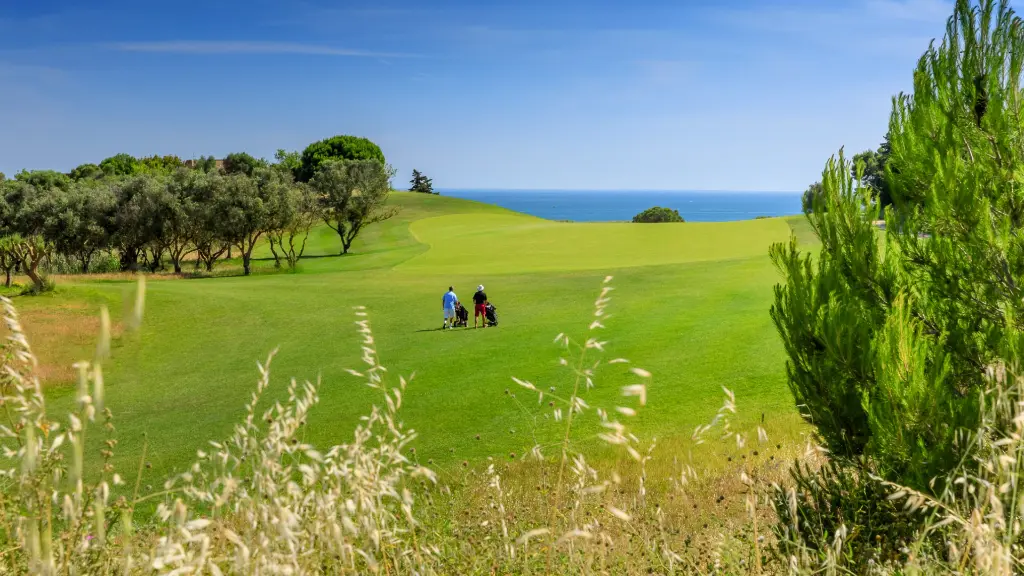 Palmares Golf 2.webp