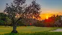 los-arqueros-golf-29.webp