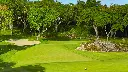 valderama-golf-14.webp