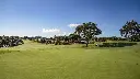 san-roque-golf-old-5.webp