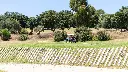 san-roque-golf-new-21.webp