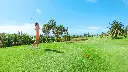 tecina-golf-3.webp