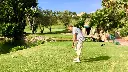 golf-torrequebrada-8.webp