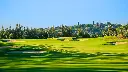 amendoeira-oconnor-golf-8.webp