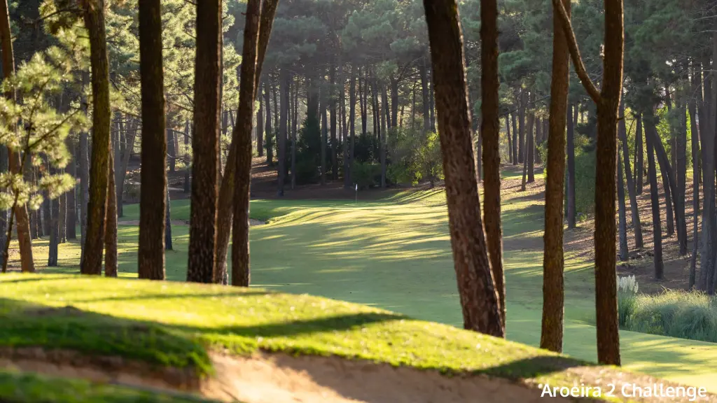 aroeira-2-challenge-4.webp
