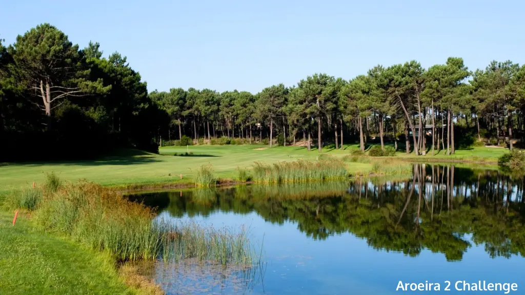 aroeira-2-challenge-17.webp