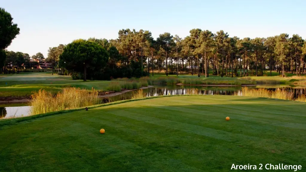 aroeira-2-challenge-18.webp