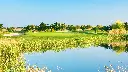 Laguna-golf-vilamoura-26.webp