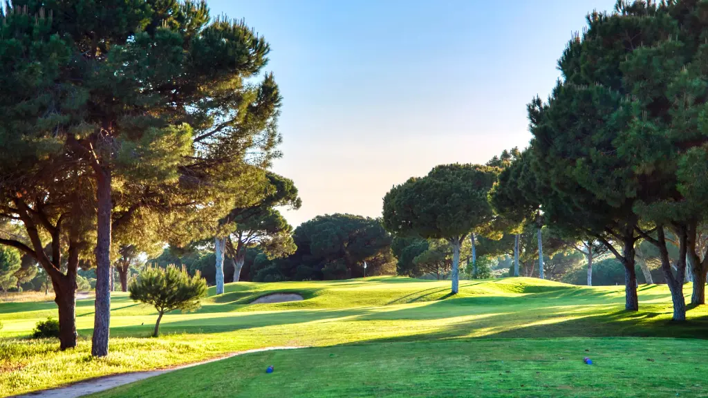 pinhal-golf-vilamoura-7.webp