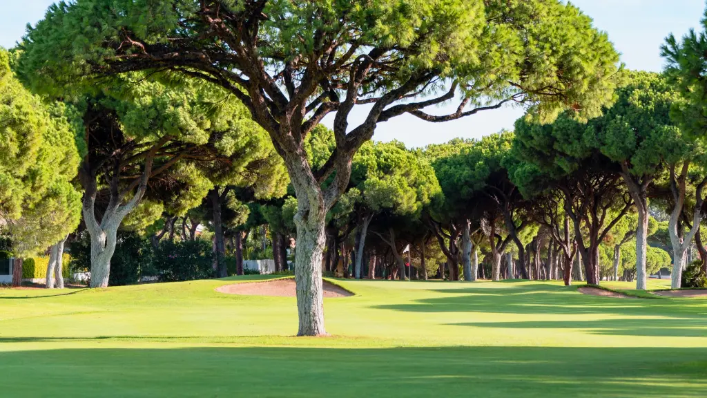 pinhal-golf-vilamoura-5.webp