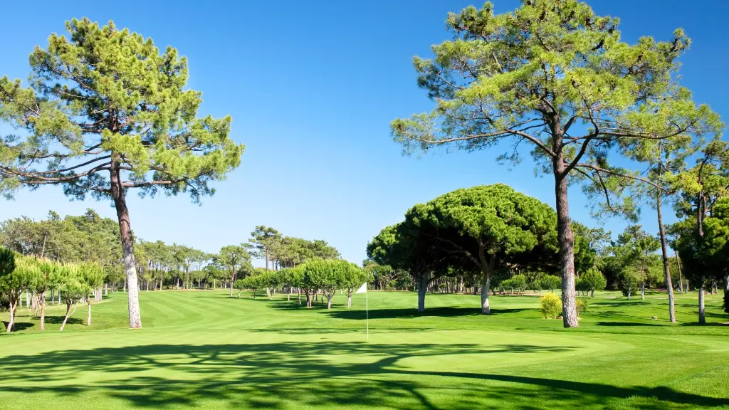 ol-course-vilamoura-28.webp