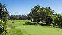 penina-golf-1.webp