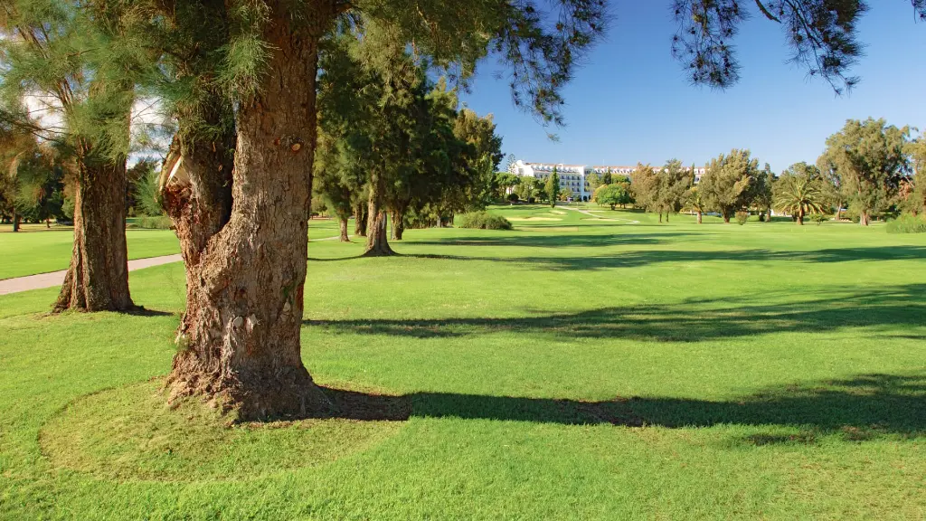penina-golf-35.webp