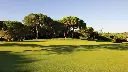 pinheiros-alto-golf-9.webp