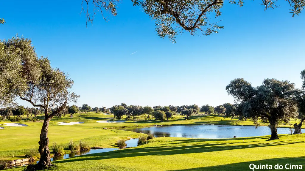 Quinta-do-Cima-7.webp