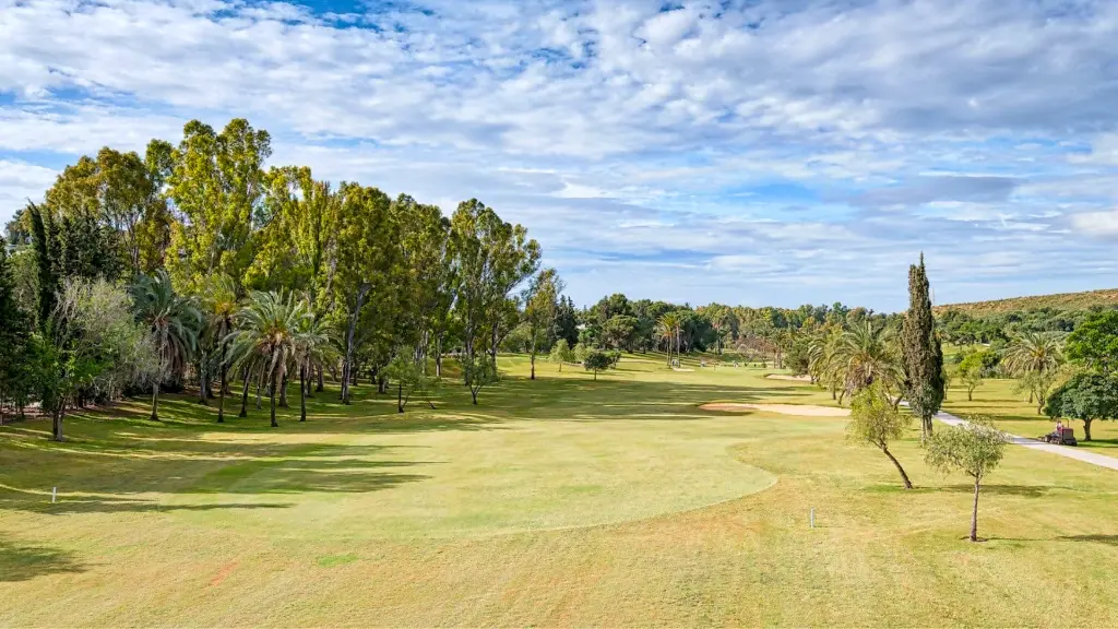 paraiso-golf-32.webp