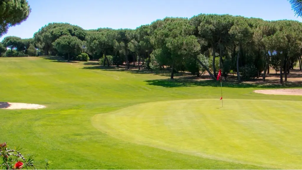 golf-nuevo-portil-12.webp