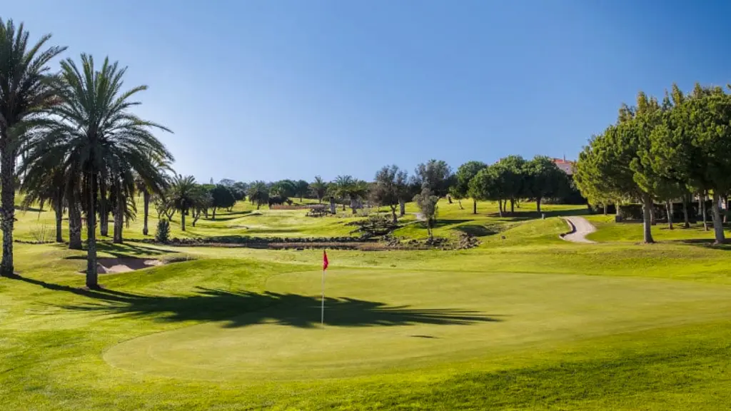 boavista golf 4.webp