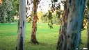 Atalaya-old-course-4.webp