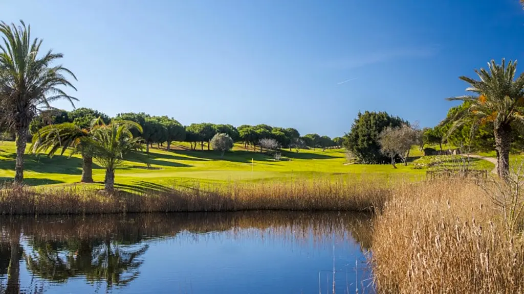 boavista golf 2.webp